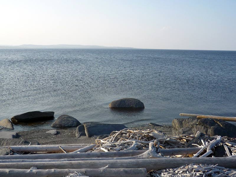 Море Лаптевых, Сого, лето 2012, фото КНА